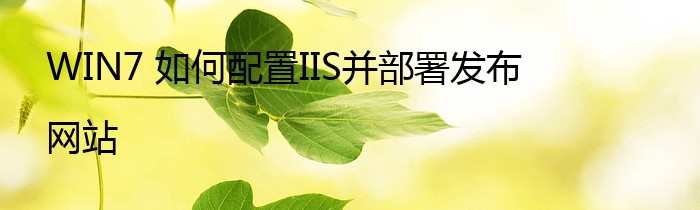 WIN7 如何配置IIS并部署发布网站