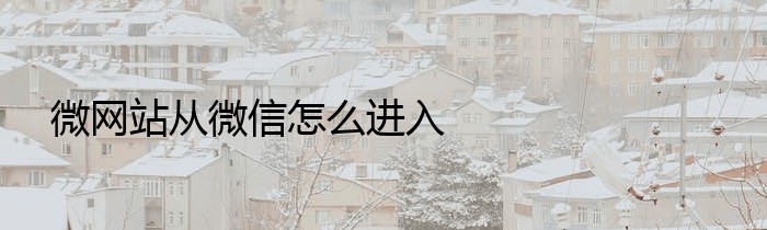 微网站从微信怎么进入