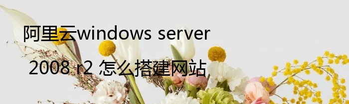 阿里云windows server 2008 r2 怎么搭建网站