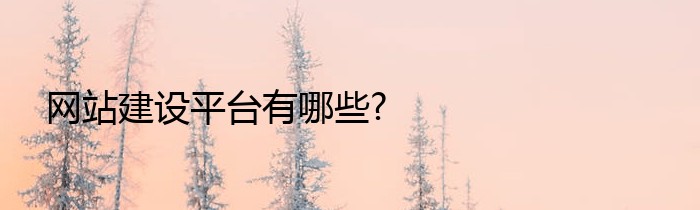 网站建设平台有哪些?