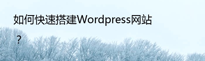 如何快速搭建Wordpress网站？