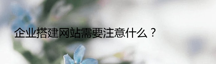 企业搭建网站需要注意什么？