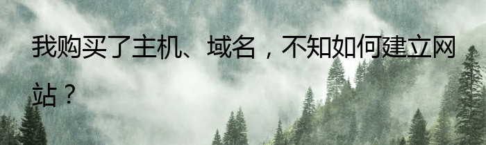 我购买了主机、域名，不知如何建立网站？