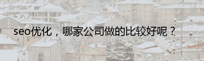 seo优化，哪家公司做的比较好呢？