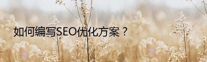 如何编写SEO优化方案？