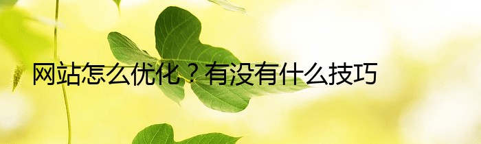 网站怎么优化？有没有什么技巧