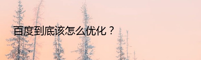 百度到底该怎么优化？