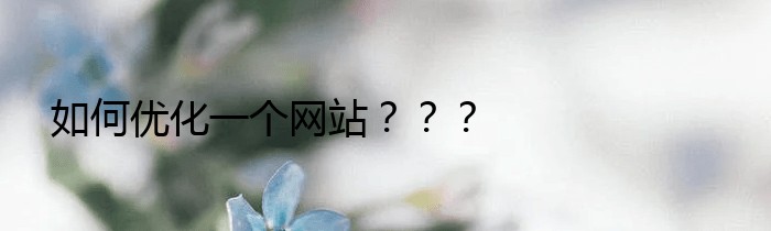 如何优化一个网站？？？