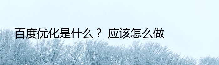 百度优化是什么？ 应该怎么做