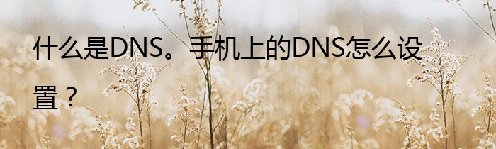 什么是DNS。手机上的DNS怎么设置？