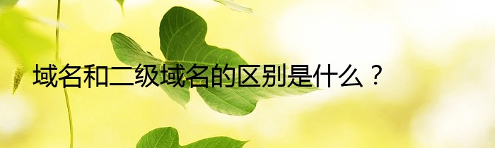 域名和二级域名的区别是什么？