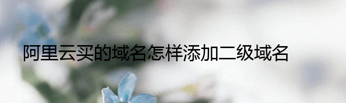 阿里云买的域名怎样添加二级域名