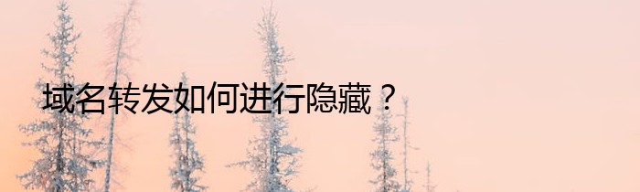 域名转发如何进行隐藏？