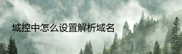 域控中怎么设置解析域名