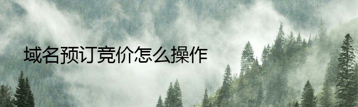 域名预订竞价怎么操作