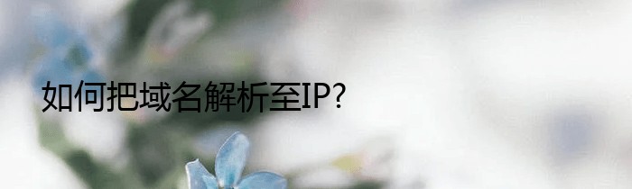 如何把域名解析至IP?