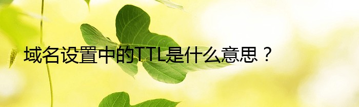 域名设置中的TTL是什么意思？