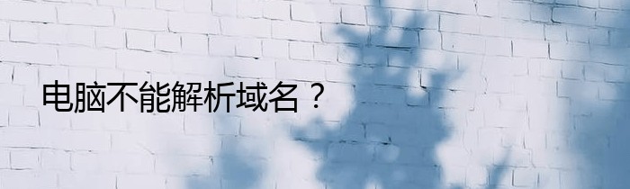 电脑不能解析域名？