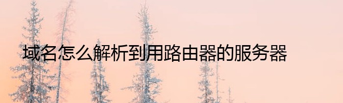 域名怎么解析到用路由器的服务器