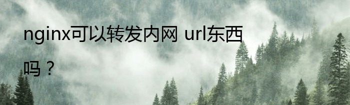 nginx可以转发内网 url东西吗？