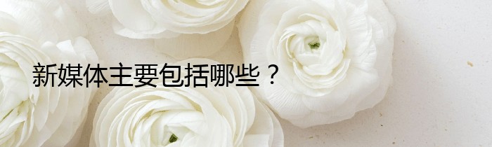 新媒体主要包括哪些？