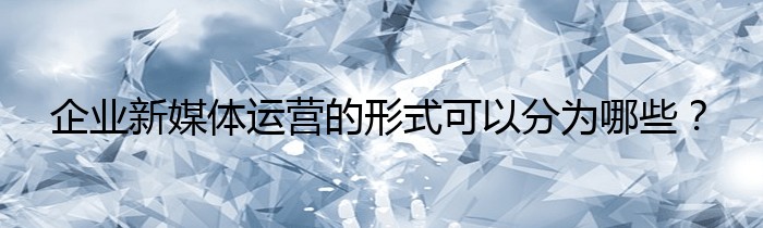 企业新媒体运营的形式可以分为哪些？