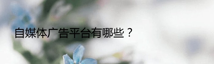 自媒体广告平台有哪些？