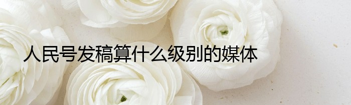 人民号发稿算什么级别的媒体