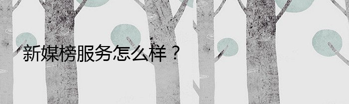 新媒榜服务怎么样？