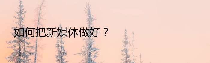 如何把新媒体做好？