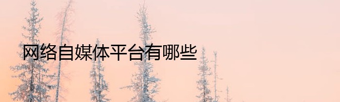 网络自媒体平台有哪些