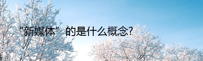 “新媒体”的是什么概念?