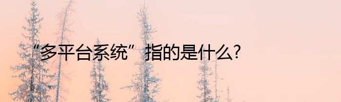 “多平台系统”指的是什么?