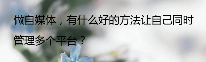 做自媒体，有什么好的方法让自己同时管理多个平台？