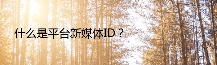 什么是平台新媒体ID？