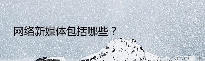 网络新媒体包括哪些？