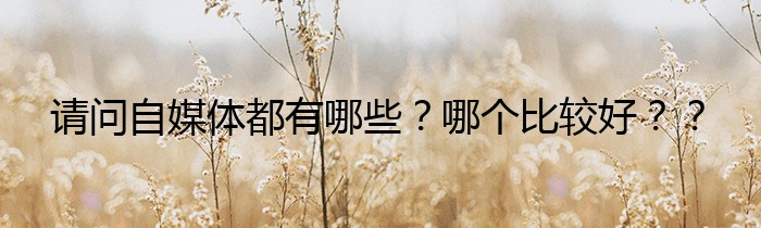 请问自媒体都有哪些？哪个比较好？？