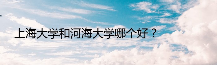 上海大学和河海大学哪个好？