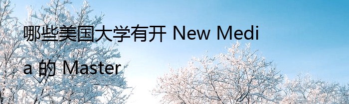 哪些美国大学有开 New Media 的 Master