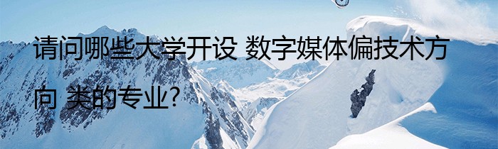 请问哪些大学开设 数字媒体偏技术方向 类的专业?