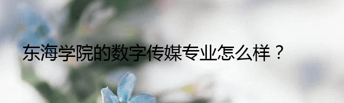 东海学院的数字传媒专业怎么样？