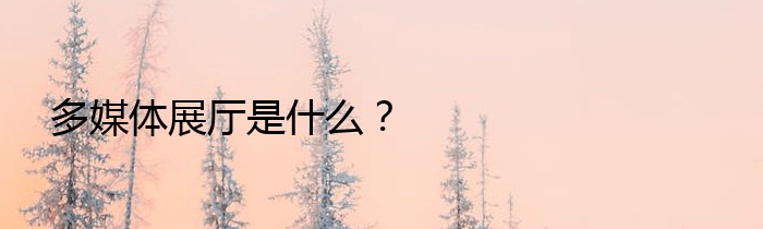 多媒体展厅是什么？