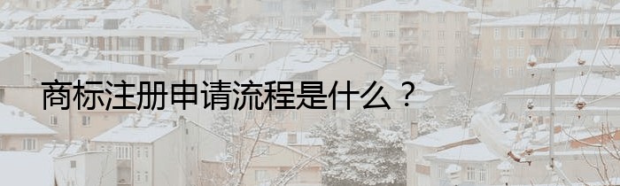 商标注册申请流程是什么？