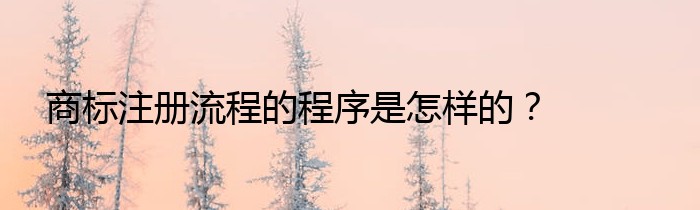 商标注册流程的程序是怎样的？