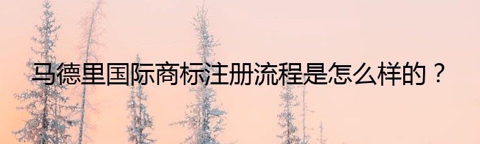 马德里国际商标注册流程是怎么样的？