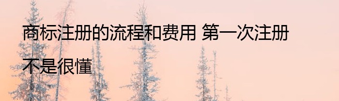 商标注册的流程和费用 第一次注册 不是很懂