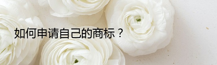 如何申请自己的商标？