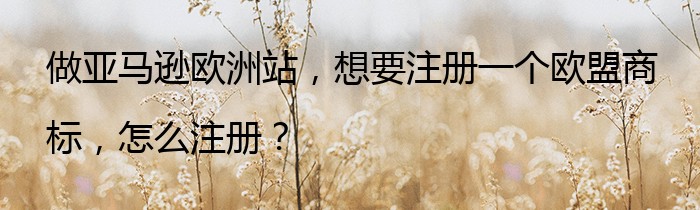 做亚马逊欧洲站，想要注册一个欧盟商标，怎么注册？