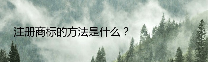 注册商标的方法是什么？