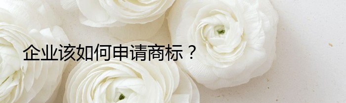 企业该如何申请商标？